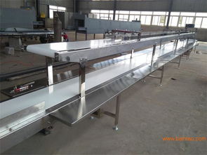 輸送機傳輸帶在印刷專用設(shè)備制造中的應(yīng)用、生產(chǎn)廠家與價格分析